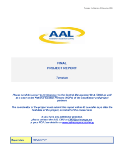 Template for the final project report