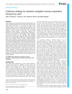 Collective strategy for obstacle navigation during cooperative