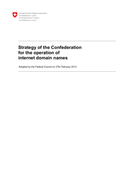 Strategy of the Confederation for the operation of internet