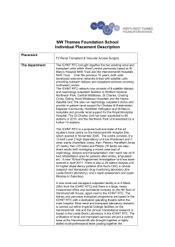 Appendix E * Individual placement description (Template)