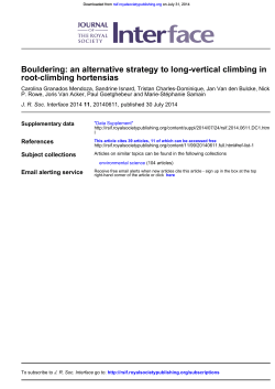 root-climbing hortensias Bouldering: an alternative strategy to long