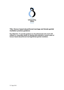 SET Safeguarding Board Proposal - Essex Safeguarding Adult Board