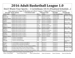 2016 Adult Basketball League 1.0