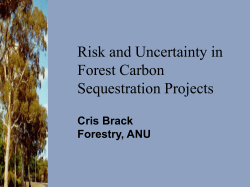 Risk and Uncertainty in Forest Carbon Sequestration Projects