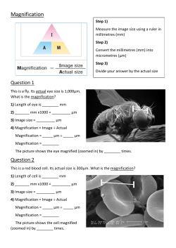 Magnification-Calculations-MPA