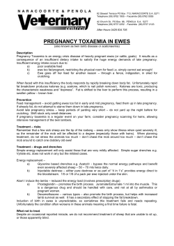 pregnancy toxaemia in ewes