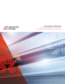 AE GLOBAL SERVICES: MAXIMIZE PRODUCTIVITY AND ROI