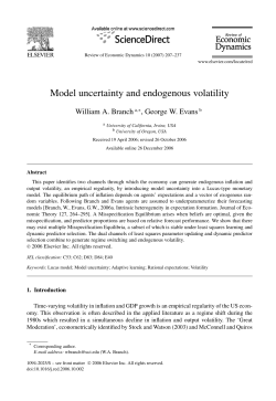Model uncertainty and endogenous volatility