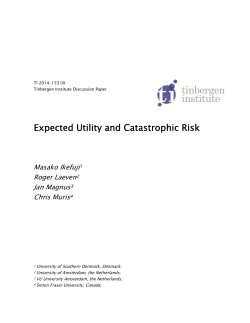 Expected Utility and Catastrophic Risk