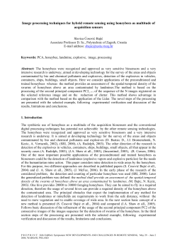 Image processing techniques for measurement of the spatial