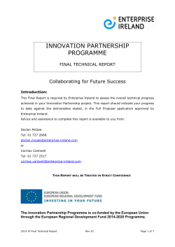 IP Final Technical Report