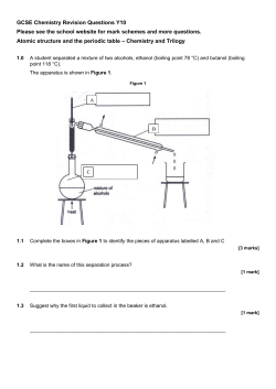 Revision End of Year Exam and mark scheme