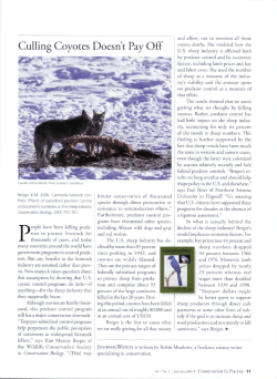 Culling Coyotes Doesn`t Pay Off