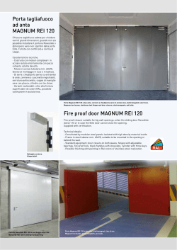 Porta tagliafuoco ad anta MAGNUM REI 120 Fire proof door