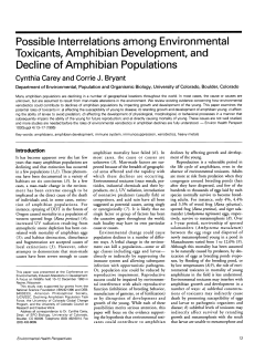 Possible Interrelations among Environmental