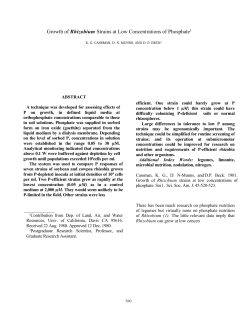 Rhizobium - College of Tropical Agriculture and Human Resources