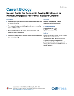 Neural Basis for Economic Saving Strategies in Human Amygdala