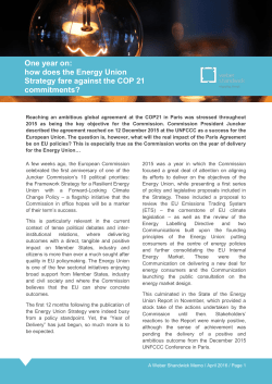 One year on: how does the Energy Union Strategy fare against the