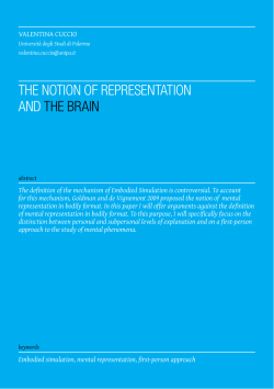 the notion of representation and the brain