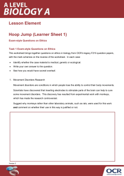 Hoop Jump Learner sheet 1