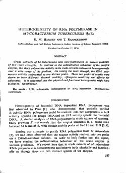 HETEROGENEITY OF RNA POLYMERASE IN MYCOBACTERIUM