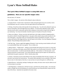 Lynn`s Mens Softball Rules
