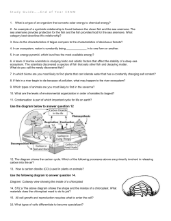 sem2 cummulative exam study guide questions
