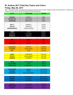 St. Andrew 2017 Field Day Teams and Colors