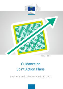Guidance on Joint Action Plans - European Commission