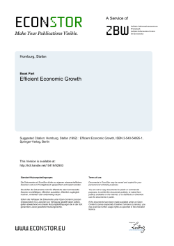 Efficient Economic Growth