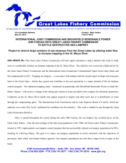 International Joint Commission And Brookfield Renewable Power