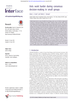 Ants work harder during consensus decision