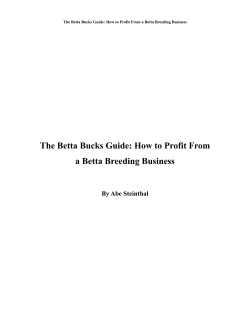 Chapter 9: Selling Bettas