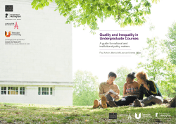 Quality and Inequality in Undergraduate Courses