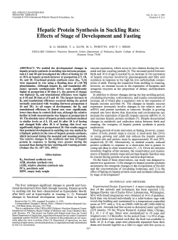 Hepatic Protein Synthesis in Suckling Rats: Effects of Stage