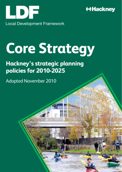 LDF Core Strategy