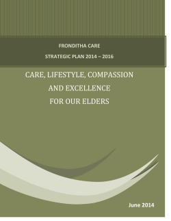 Fronditha Care Strategic Plan 2014-2016