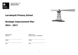 Strategic Improvement Plan 2014-2017
