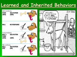 Compare learned to inherited behaviors in animals.