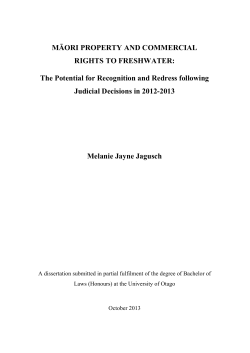 MĀORI PROPERTY AND COMMERCIAL RIGHTS TO FRESHWATER
