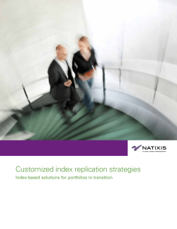 Customized index replication strategies