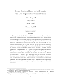 Demand Shocks and Labor Market Dynamics