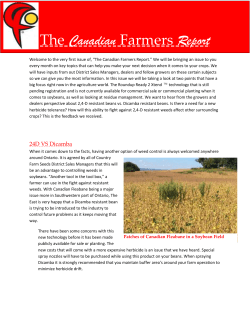 the First Issue