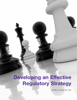 Developing an Effective Regulatory Strategy