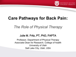 Care Pathways for Back Pain: The Role of Physical Therapy