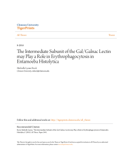 The Intermediate Subunit of the Gal/Galnac Lectin may Play a Role