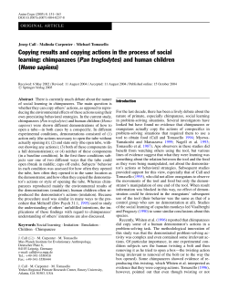 Copying results and copying actions in the process of social