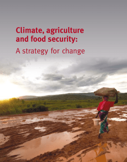 Climate, agriculture and food security