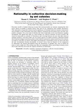 Rationality in collective decision
