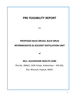 Project feasibility report